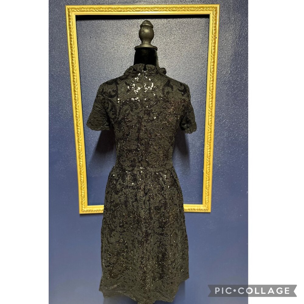 Brooks Brothers Lace and Sequin Dress - Picture 3 of 3